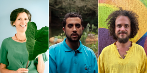 Como a Permacultura pode Melhorar nossa Relação com a Água na Cidade?